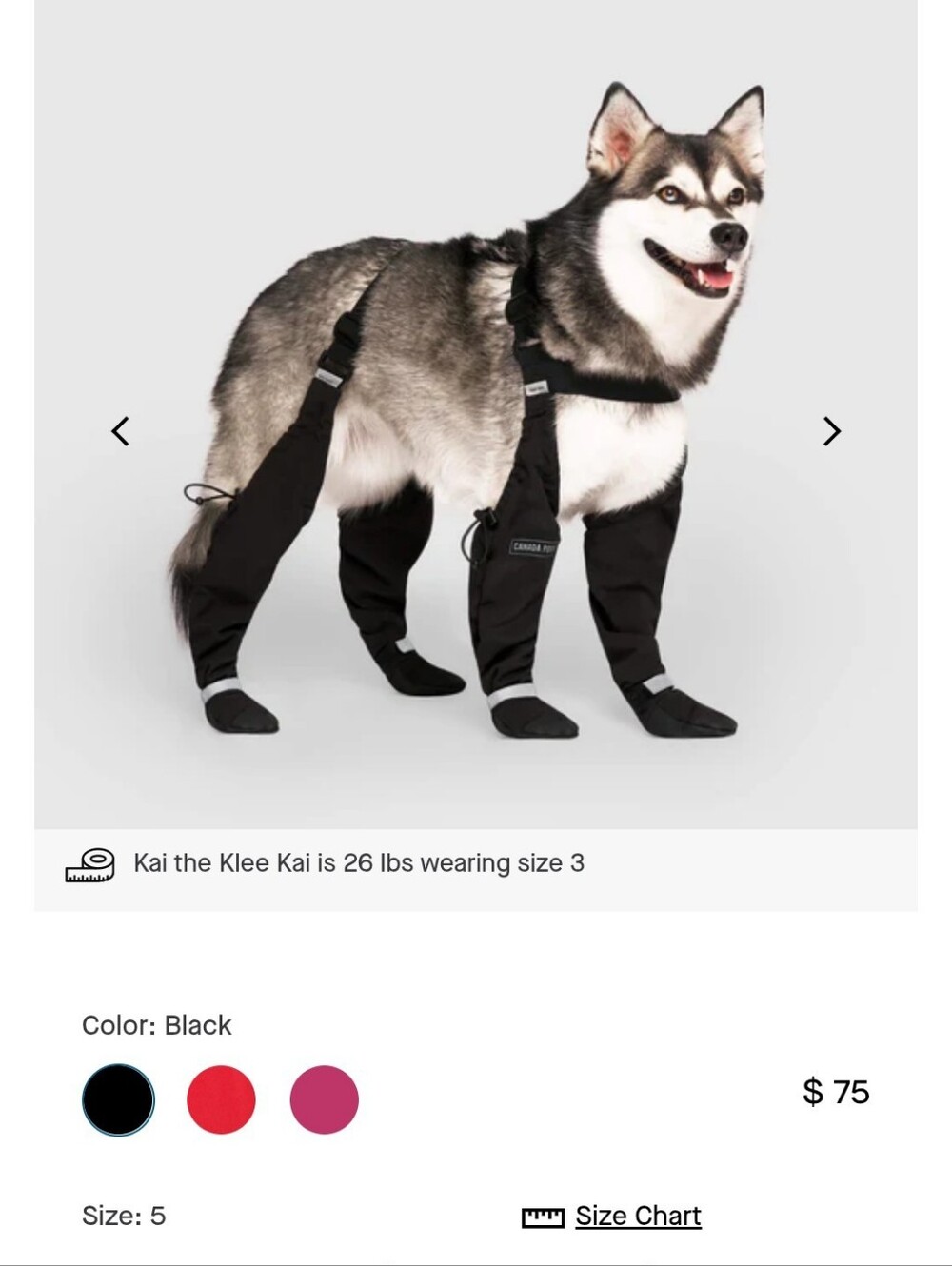 Reflective Black Dog Leggings with Adjustable Harness